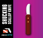 The Shucking Scallop Knife