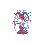 Aqua Hippie Lobster Decal